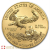 2019 1/2 Ounce American Eagle Gold Coin