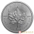 2022 1 Unze kanadische Maple Leaf Silbermünze