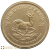 2024 1/10 Ounce South African Krugerrand