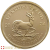 2024 1/2 Ounce South African Krugerrand