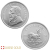 2024 South African Krugerrand Silver Monster Box