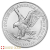 500 x 2025 1 Unze American Eagle Silbermünze