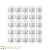 25 Gramm PAMP Suisse Multigram Platinbarren