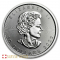 2020 1 Ounce Platinum Maple Leaf Coin