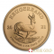 Wholesale 10 x 1 Oz 2021 Gold Krugerrands