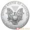 2021 American Eagle 1 Ounce Silver Coin