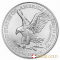 Monster Box - 2022 Silver 1 Ounce American Eagle Coin