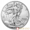 2022 American Eagle 1 Ounce Silver Coin