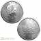 Wholesale 10 x 1 Ounce 2023 Platinum Maple Leaf Coin