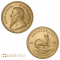 10 x 1 Oz 2023 Krugerrands de Oro