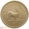 2024 1/2 Ounce South African Krugerrand