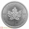 500 x Hoja de Arce canadiense de plata 2024