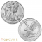20 X 2025 American Eagle 1 Ounce Silver Coins