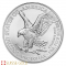 Box of 500 x  2025 Silver 1 Ounce American Eagle Coin