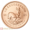 2025 1/2 Ounce South African Krugerrand