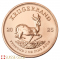 1 Ounce 2025 South African Krugerrand