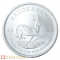 2025 South African Krugerrand Silver Monster Box