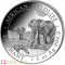 2026 Somalian Elephant 1 Ounce Silver Coin