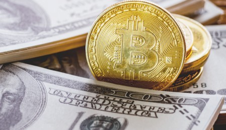 Wird der Bitcoin-Preis durch das Bevölkerungswachstum beeinflusst?